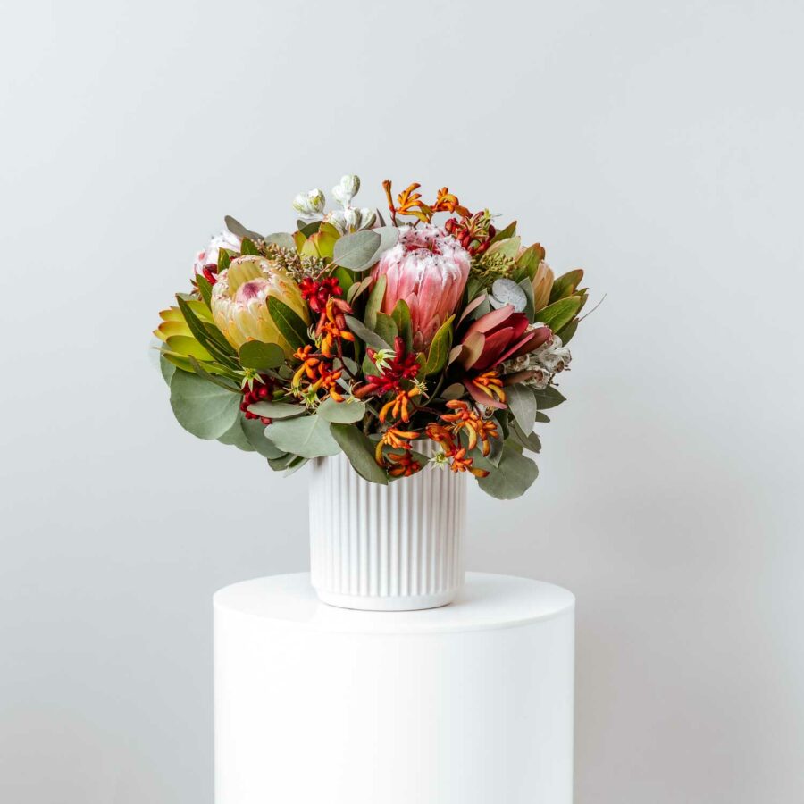 seasonal native flowers including proteas kangaroo paws gumnuts and foliage arranged in a white short ceramic vase