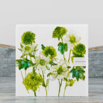 large greeting card with white envelope made by whistlefish cover depicts vibrant lime and white scabiosa flowers with lime green stems in watercolour blank inside