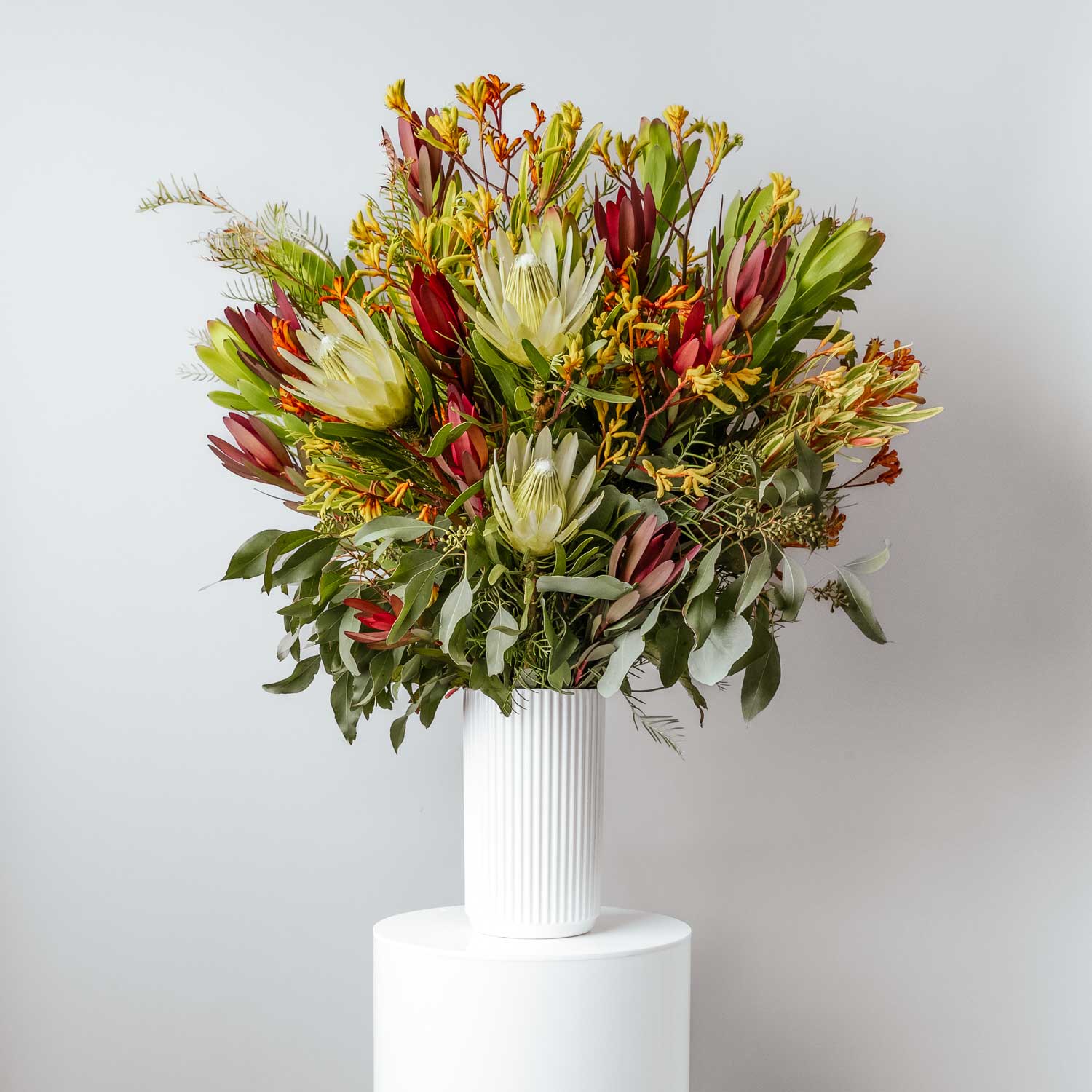seasonal native flowers including protea repens kangaroo paw leucadendron and foliage arranged in a white tall ceramic vase