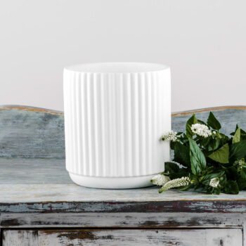 short white vertical ribbed ceramic vase