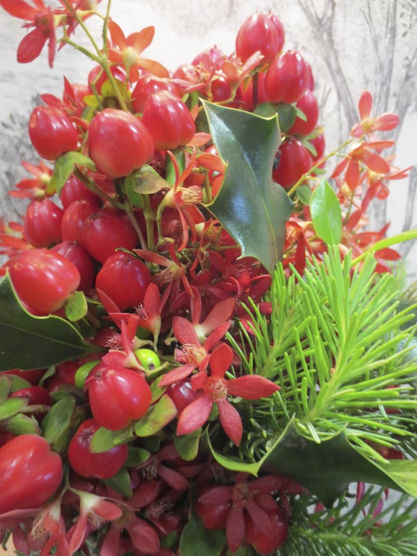 red hypericum berries and festival bush