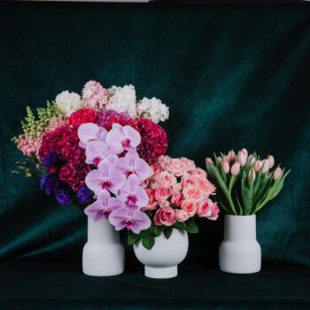 pink tulips roses snapdragons hydrangea purple lisianthus and mauve phalaenopsis orchids arranged in clusters in 3 white ceramic vases