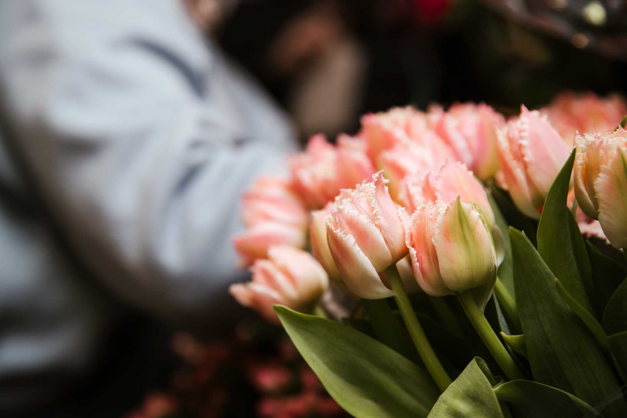 peach frilled tulip bouquet