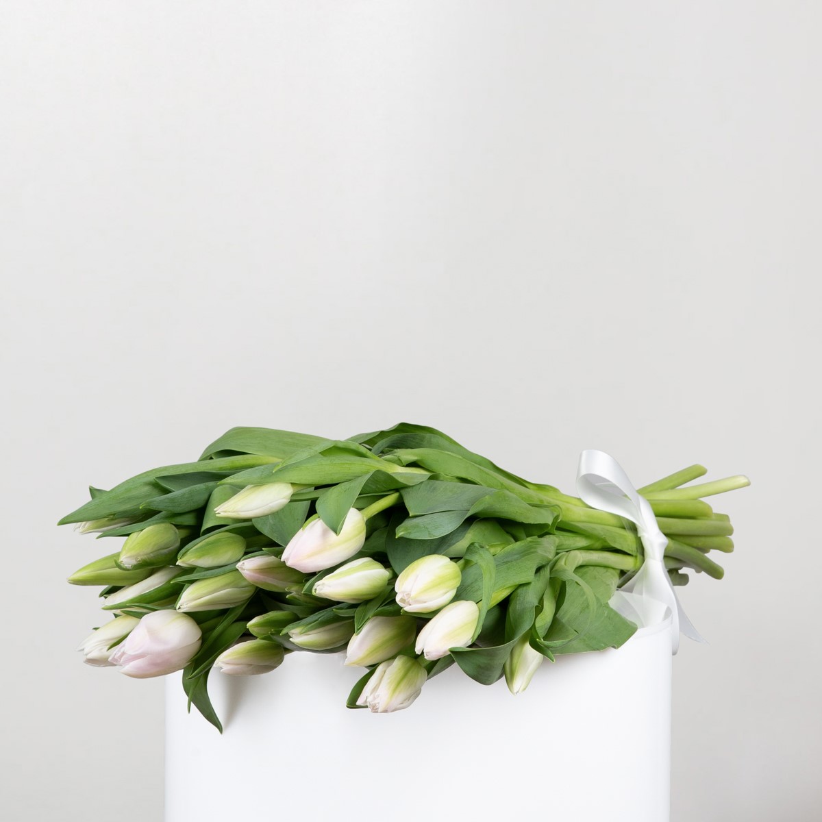 tulip bouquet white tulips