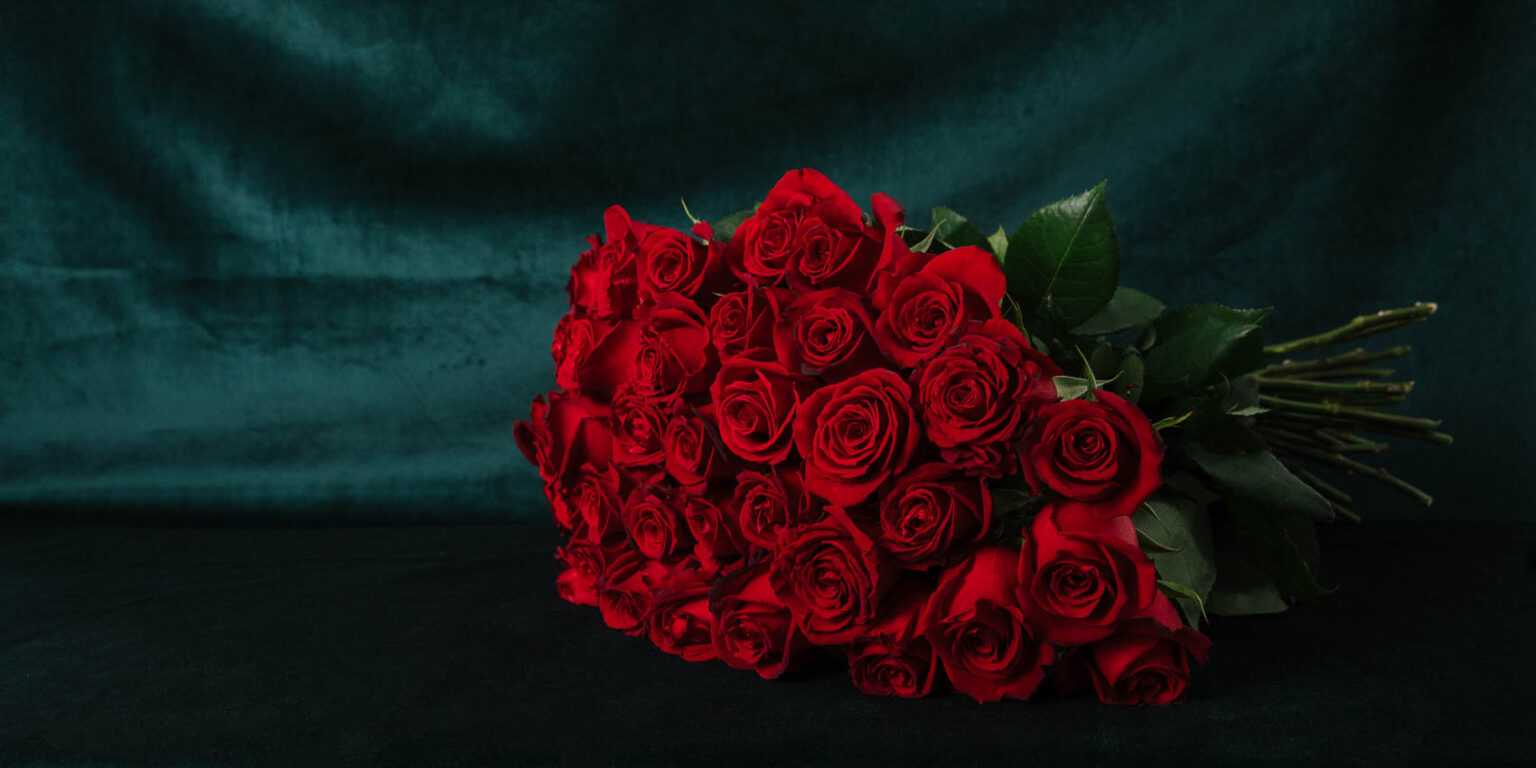 bountiful bouquet of long stem red roses displayed on rich deep emerald velvet fabric backdrop