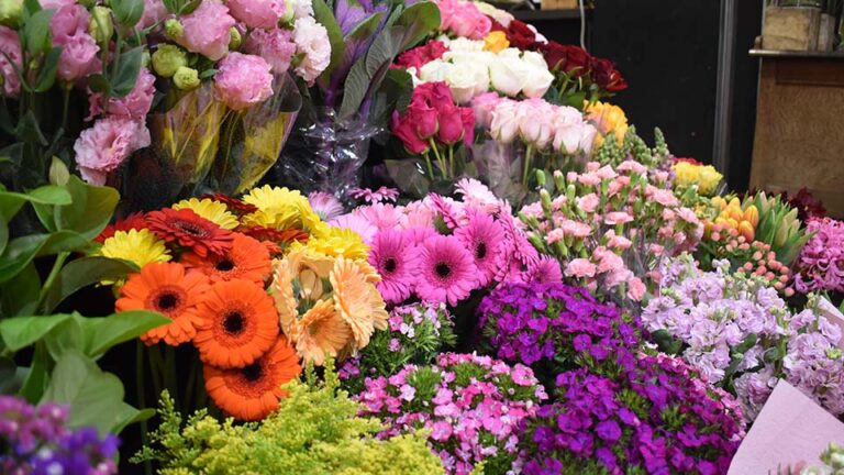 colourful display of bunches of flowers including orange gerberas, pink carnations, red roses, yellow tulips and pink lisianthus