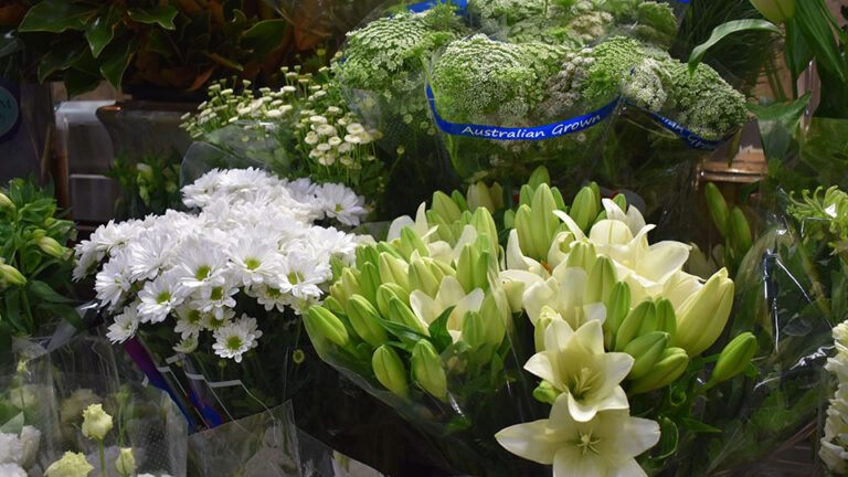 Bunches of white flowers including Asiatic Lilies, daisy Chrysanthemums, Lisianthus and Alstromeria