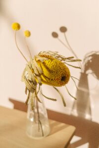 Billy Buttons Billy Buttons