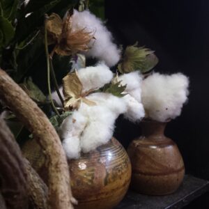 Small vases with dried cotton Small vases with dried cotton