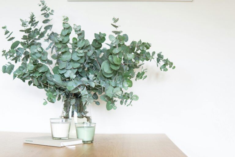 home styling with gum leaves