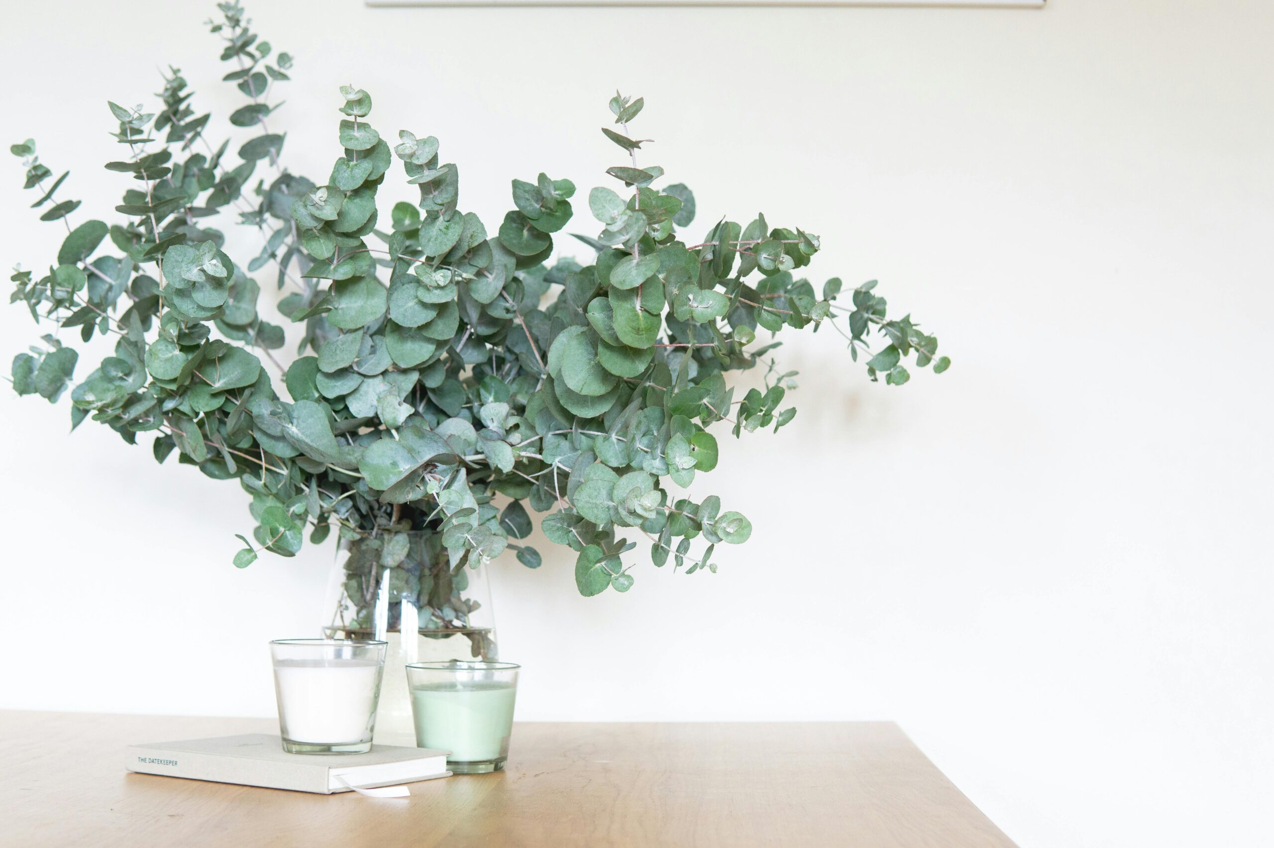 home styling with gum leaves