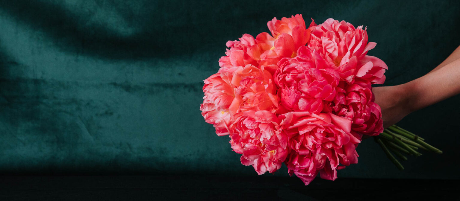 CamberwellFlorist Web HiSylvia 76