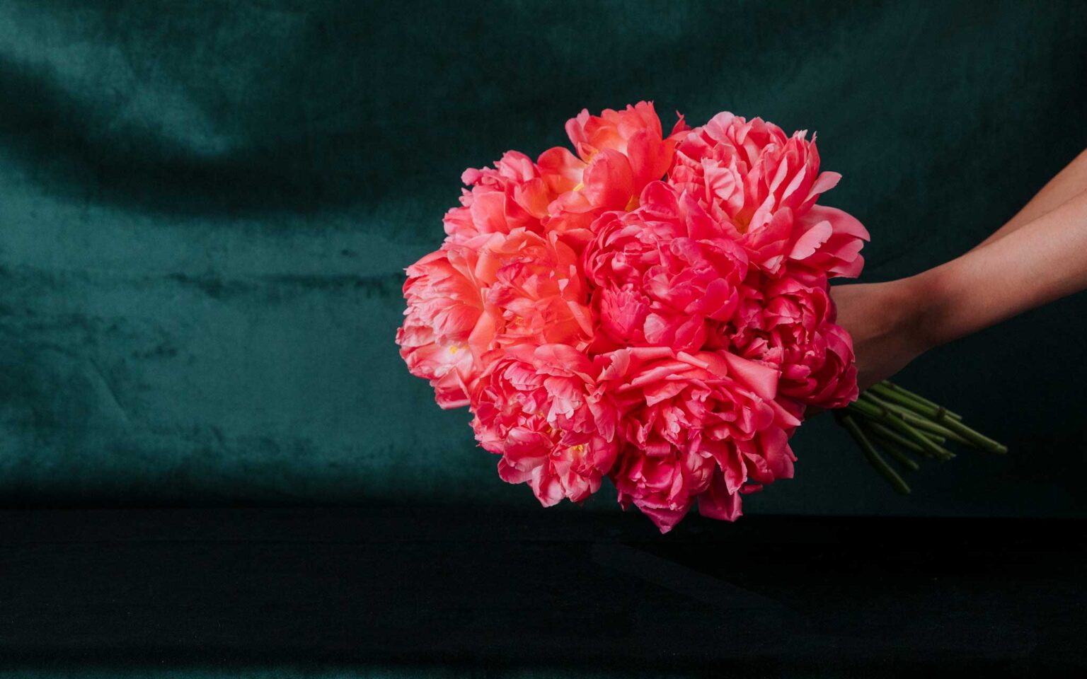 camberwellflorist 431 hires