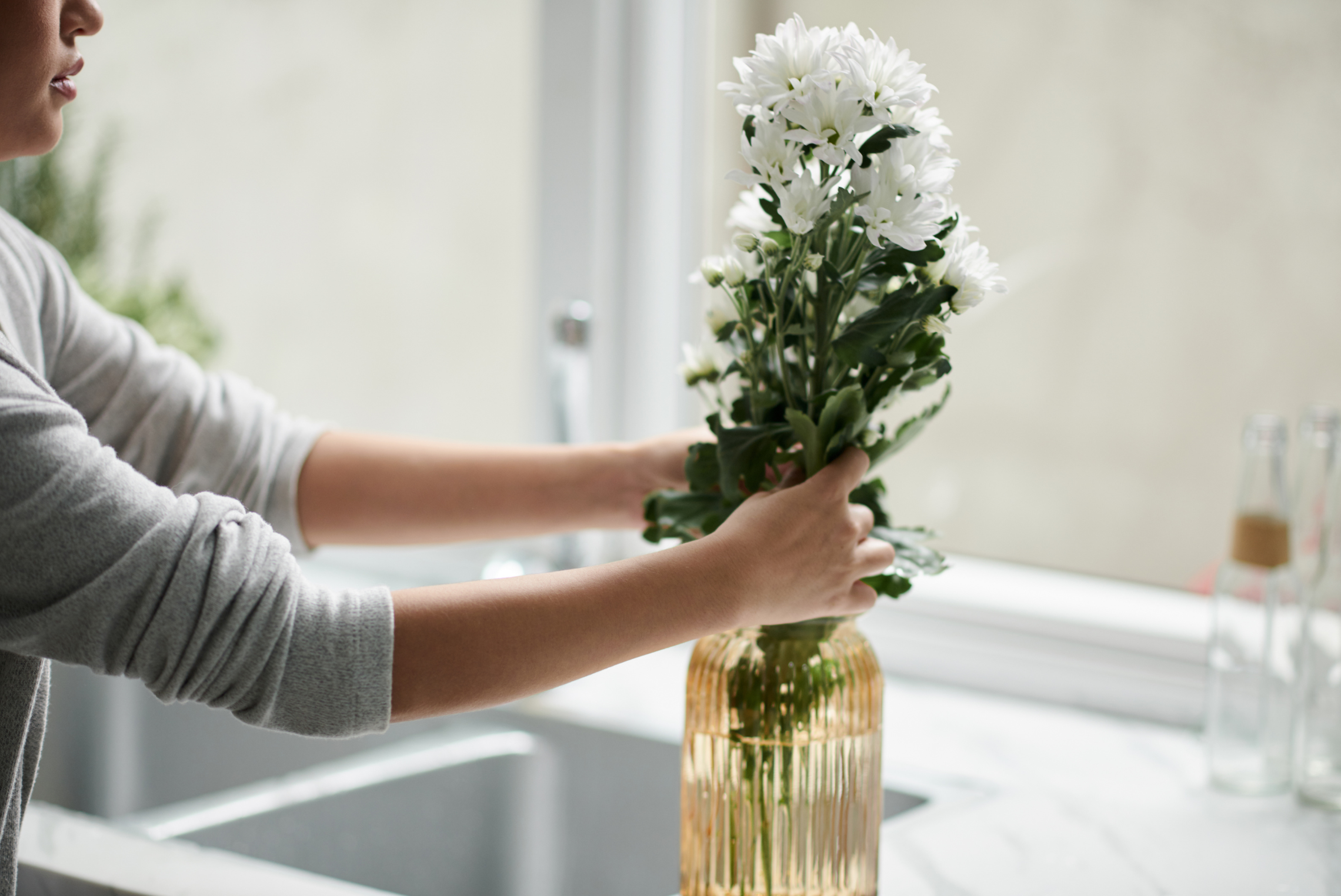 Adding water in the vase png